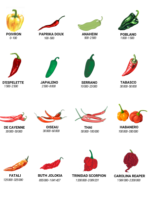 e438225b0f55077d42f66d38f3a482c3